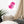 Load image into Gallery viewer, PATATES ÉPILÉES SPLASH P | Affiche encadrée