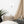 Load image into Gallery viewer, FEUX DENTIFRICE | Affiche Encadrée