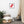 Load image into Gallery viewer, GOMME BABOUNE SPLASH R | Affiche Encadrée
