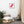 Load image into Gallery viewer, PEANUT D&#39;AVION SPLASH R | Affiche Encadrée
