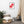 Load image into Gallery viewer, CULOTTE À MANCHES COURTES SPLASH R | Affiche Encadrée
