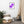 Load image into Gallery viewer, FEUX DENTIFIRICE SPLASH M | Affiche Encadrée
