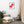 Load image into Gallery viewer, JOUR À LÈVRES SPLASH R | Affiche encadrée
