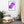 Load image into Gallery viewer, OURS SCOLAIRE SPLASH M | Affiche encadrée
