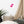 Load image into Gallery viewer, CRÈME LACÉE SPLASH P | Affiche Encadrée
