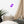 Load image into Gallery viewer, FEUX DENTIFIRICE SPLASH M | Affiche Encadrée
