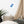 Load image into Gallery viewer, OURS SCOLAIRE SPLASH B | Affiche encadrée
