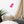 Load image into Gallery viewer, CRÈME LACÉE SPLASH P | Affiche Encadrée
