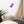 Load image into Gallery viewer, FEUX DENTIFIRICE SPLASH M | Affiche Encadrée
