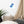 Load image into Gallery viewer, PEANUT D&#39;AVION SPLASH B | Affiche Encadrée
