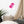Load image into Gallery viewer, CRÈME LACÉE SPLASH P | Affiche Encadrée
