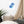 Load image into Gallery viewer, OURS SCOLAIRE SPLASH B | Affiche encadrée
