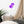 Load image into Gallery viewer, OURS SCOLAIRE SPLASH M | Affiche encadrée

