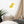 Load image into Gallery viewer, PATATES ÉPILÉES SPLASH J | Affiche encadrée
