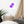 Load image into Gallery viewer, FEUX DENTIFIRICE SPLASH M | Affiche Encadrée
