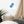 Load image into Gallery viewer, PEANUT D&#39;AVION SPLASH B | Affiche Encadrée
