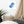 Load image into Gallery viewer, OURS SCOLAIRE SPLASH B | Affiche encadrée
