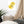 Load image into Gallery viewer, PATATES ÉPILÉES SPLASH J | Affiche encadrée
