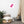 Load image into Gallery viewer, CRÈME LACÉE SPLASH P | Affiche Encadrée
