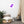 Load image into Gallery viewer, FEUX DENTIFIRICE SPLASH M | Affiche Encadrée

