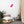 Load image into Gallery viewer, GOMME BABOUNE SPLASH P | Affiche Encadrée
