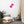Load image into Gallery viewer, CRÈME LACÉE SPLASH P | Affiche Encadrée
