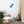 Load image into Gallery viewer, OURS SCOLAIRE SPLASH B | Affiche encadrée
