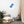 Load image into Gallery viewer, PEANUT D&#39;AVION SPLASH B | Affiche Encadrée
