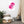 Load image into Gallery viewer, CRÈME LACÉE SPLASH P | Affiche Encadrée
