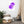 Load image into Gallery viewer, FEUX DENTIFIRICE SPLASH M | Affiche Encadrée
