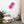 Load image into Gallery viewer, GOMME BABOUNE SPLASH P | Affiche Encadrée
