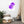 Load image into Gallery viewer, OURS SCOLAIRE SPLASH M | Affiche encadrée
