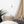 Load image into Gallery viewer, OURS SCOLAIRE | Affiche encadrée
